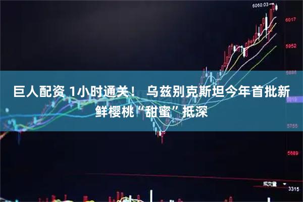 巨人配资 1小时通关！ 乌兹别克斯坦今年首批新鲜樱桃“甜蜜”抵深